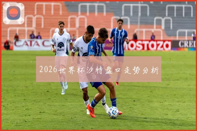 2026世界杯沙特盘口走势分析
