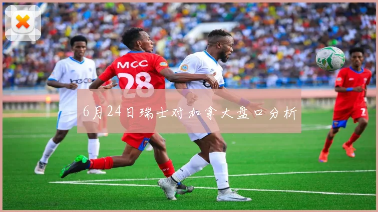 6月24日瑞士对加拿大盘口分析