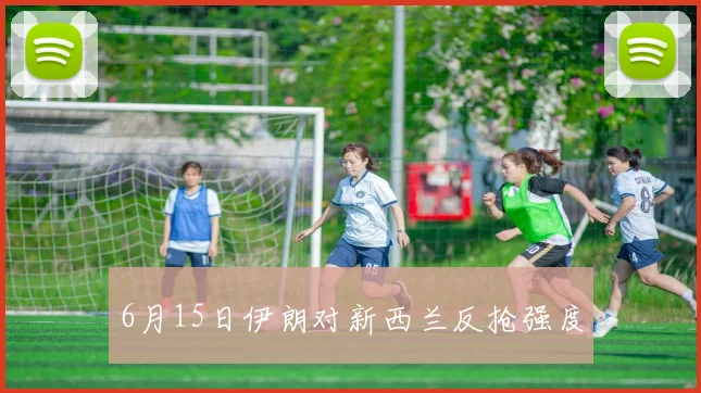 6月15日伊朗对新西兰反抢强度