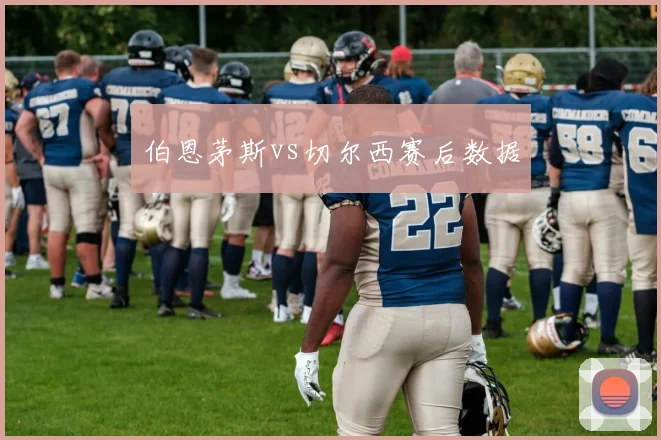 伯恩茅斯vs切尔西赛后数据
