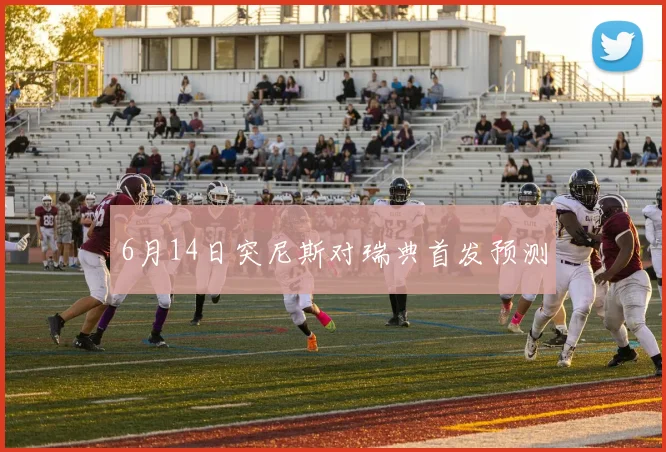 6月14日突尼斯对瑞典首发预测